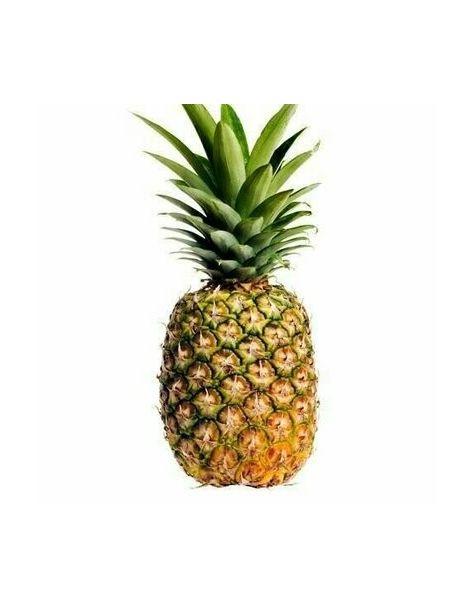 Pineapple /(አናናስ)
