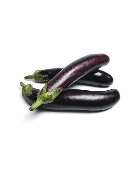 Eggplant/(በደርጃን)