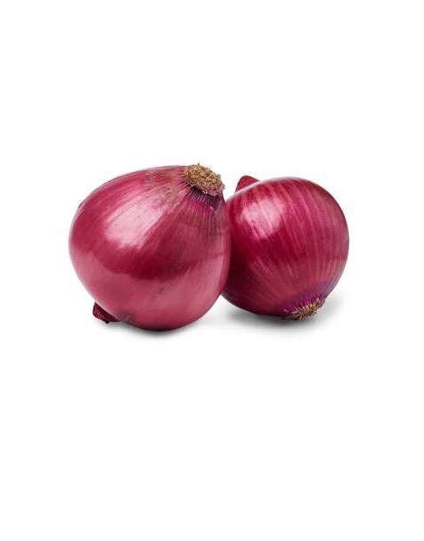Red onion /(ሽንኩርት)