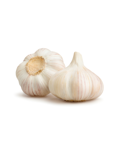 Garlic/(ነጭ ሽንኩርት)