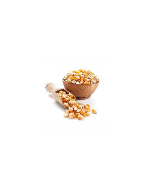 Pop corn seedes/ ፋንዲሻ