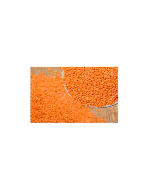 Split lentile (imported) /ምስር(የውጭ)