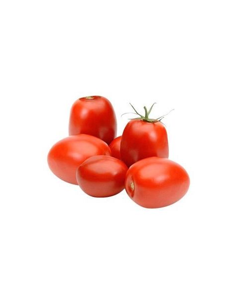 Tomato /(ቲማቲም)